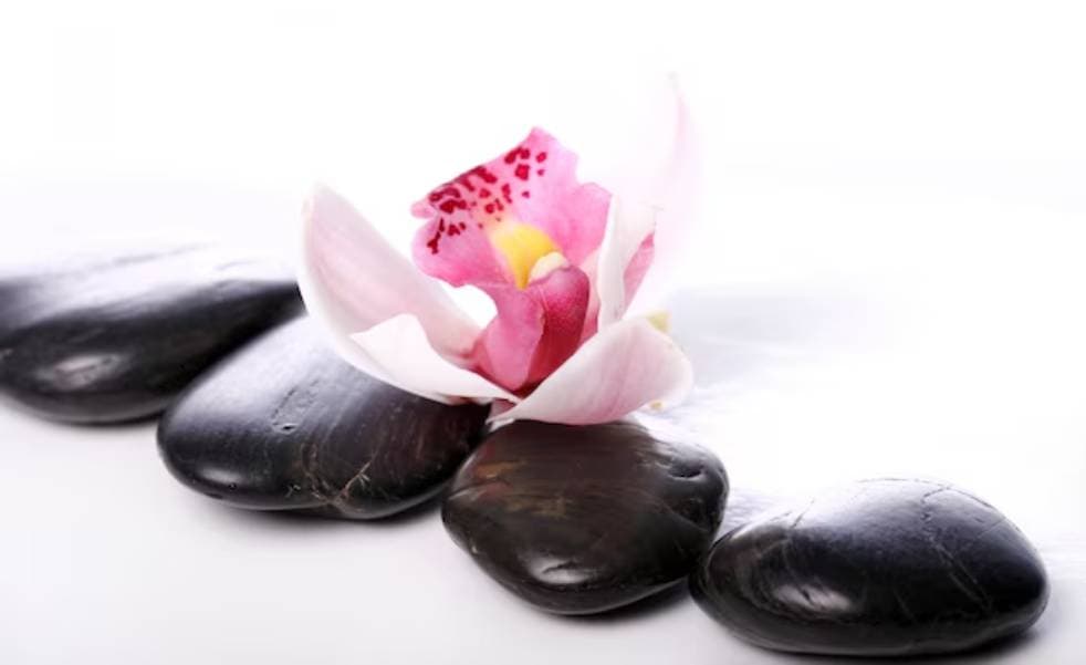 Windsor Counselling Services Internal Healing gallery image 1