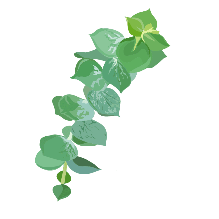 Wild Sage Massage Therapy Inc. gallery image 1