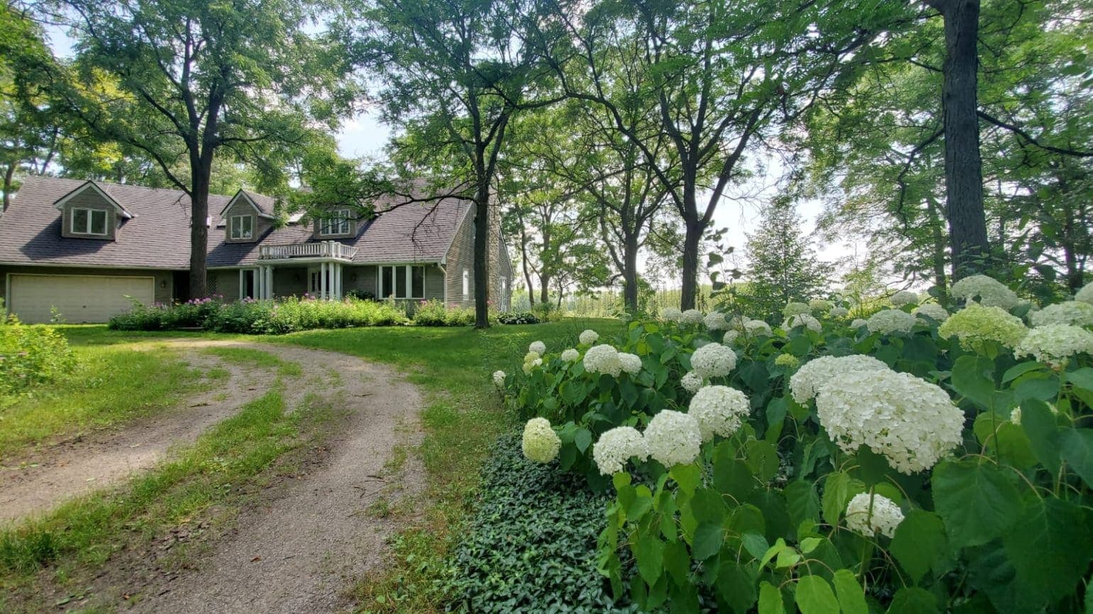 Waterloo Wellington Buddhist Monastery and Meditation Centre gallery image 3