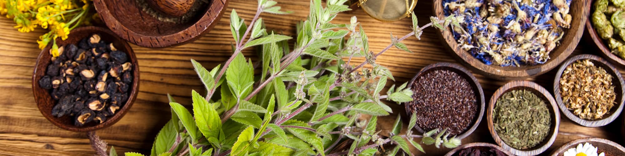 Advanced Healing Arts Inc. gallery image 5