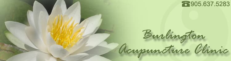 Burlington Acupuncture Clinic logo