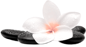 Country Club Massage logo