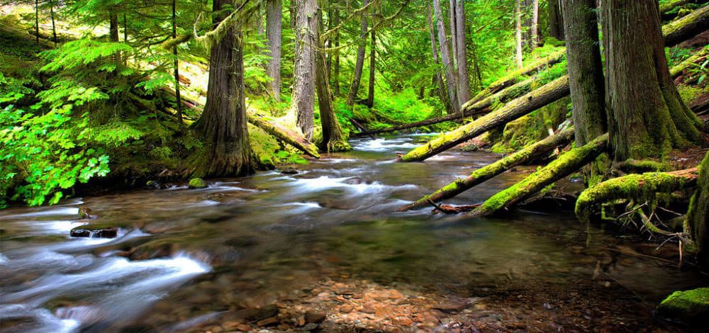 Fraser Valley Counselling gallery image 5