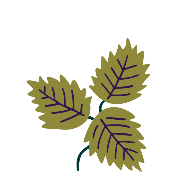 genevieve herboriste gallery image 4