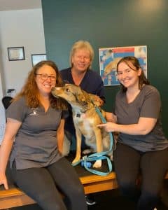 Pathways Holistic Petcare Centre gallery image 5