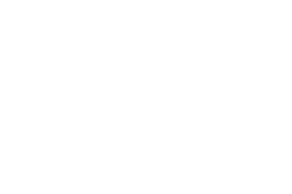 The Layo Centre logo