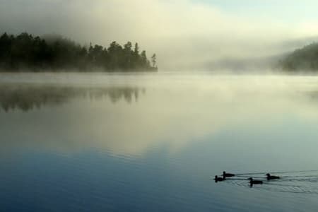 Lisa Woolgar Counselling gallery image 3