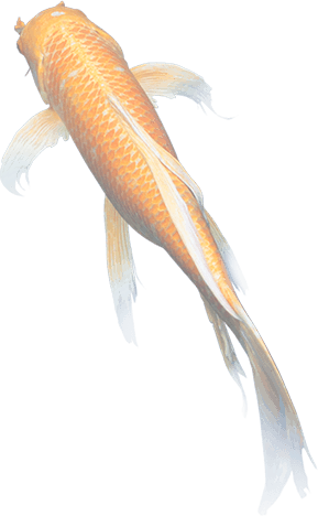 North Shore Zen gallery image 1