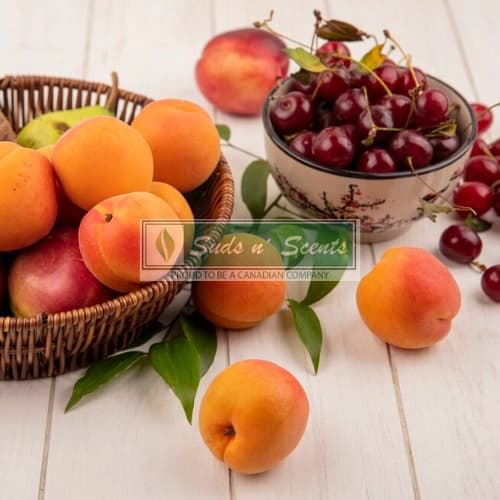 Suds' n Scents Soapmaking & Beauty Supplies logo