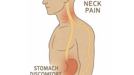 The Massage Clinic Health Centres gallery image 4