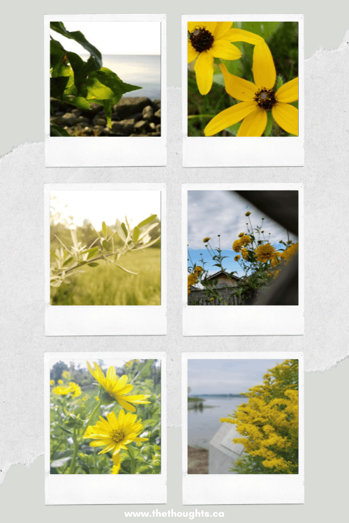 The Thoughts gallery image 1