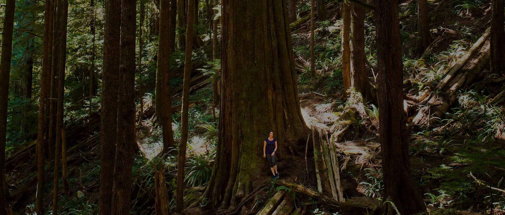 Vibrantly You - Life Coaching logo