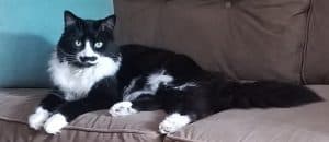 J.D. Maynard RMT gallery image 2