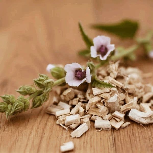 Althea Wellness Centre Inc - Dr. Andrea Carr, ND gallery image 5