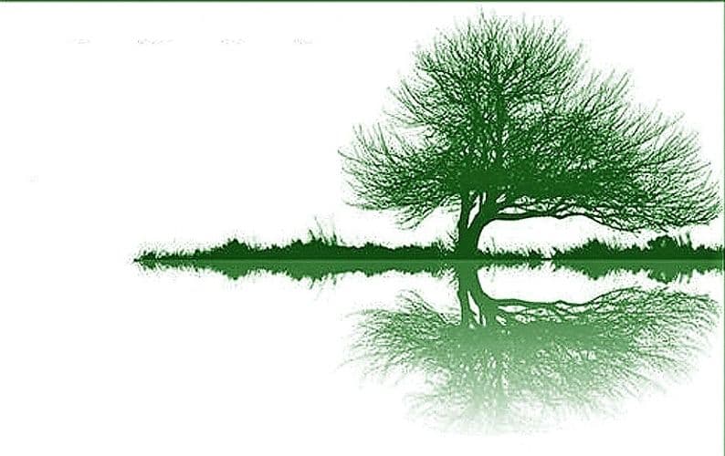 Inner Peace Hypnotherapy Inc.