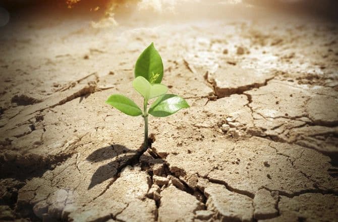 Black Counselling and Consulting Services LTD.