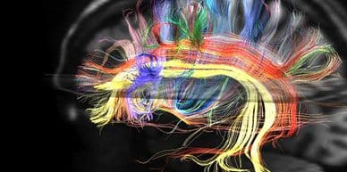 Attune Trauma and Regulation Centre gallery image 4