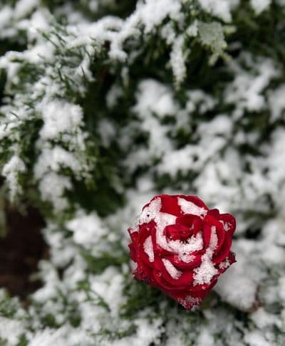 Simpli Health gallery image 1