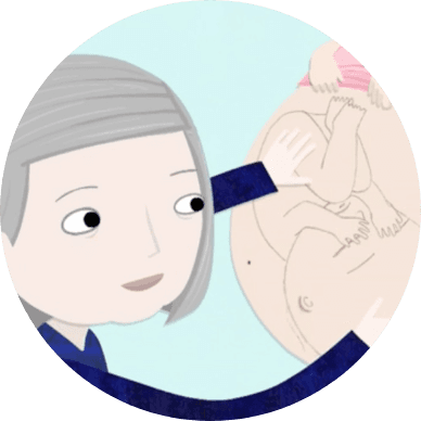 Midwives Collective Victoria