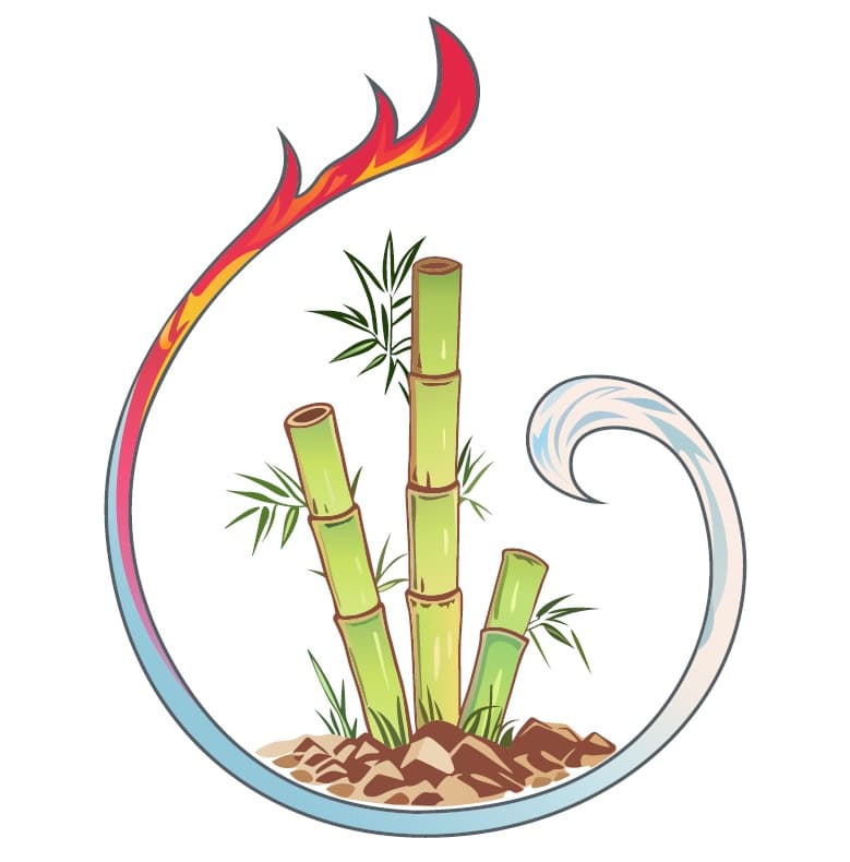 Acupuncture Sociale Sherbrooke