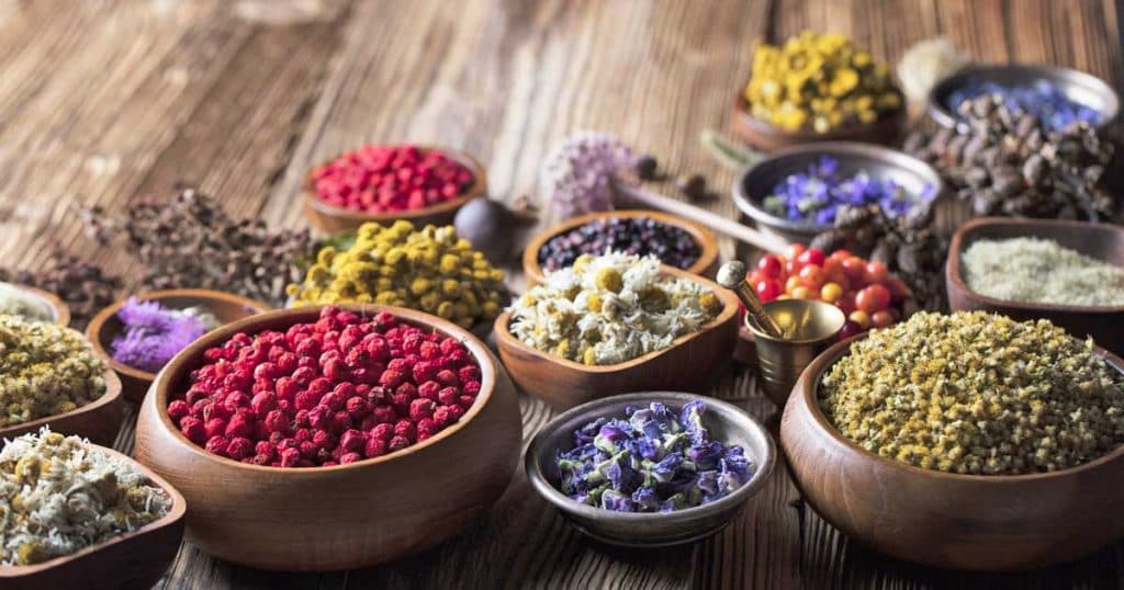 Alchimiste En Herbe gallery image 2