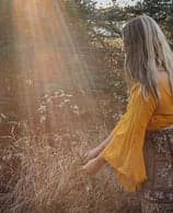 The Foraging Rose gallery image 3