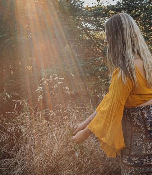 The Foraging Rose gallery image 2