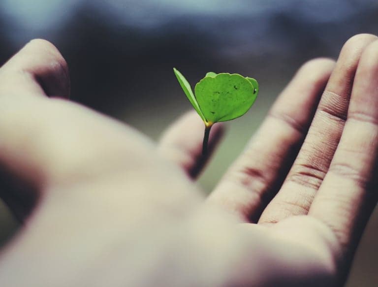 Altered Healing Inc gallery image 5