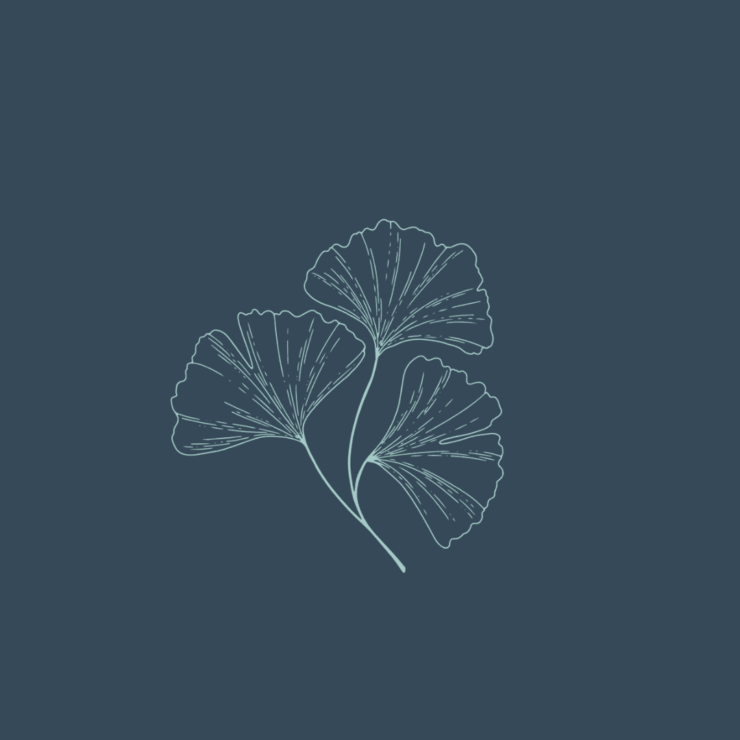 Blue Spruce Wellness gallery image 5