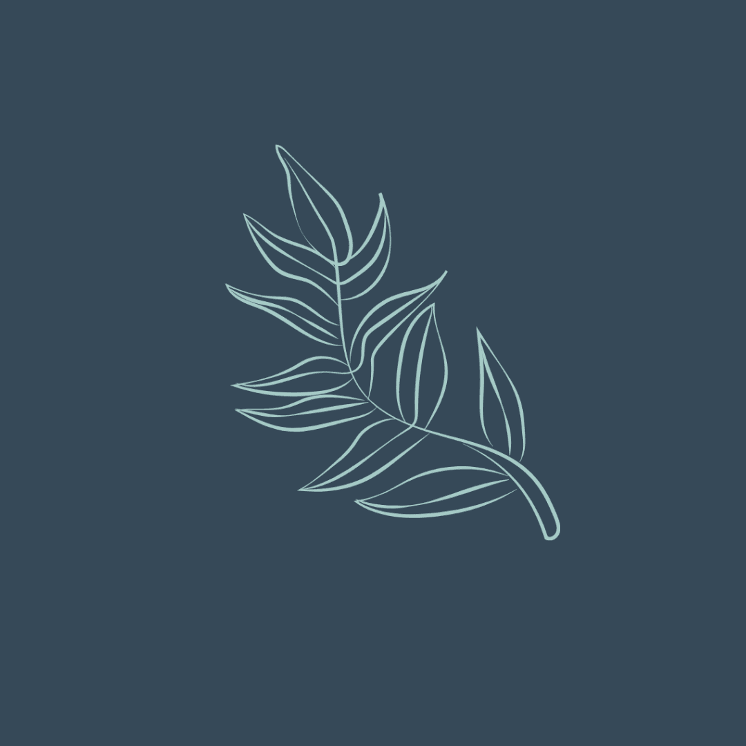 Blue Spruce Wellness gallery image 3