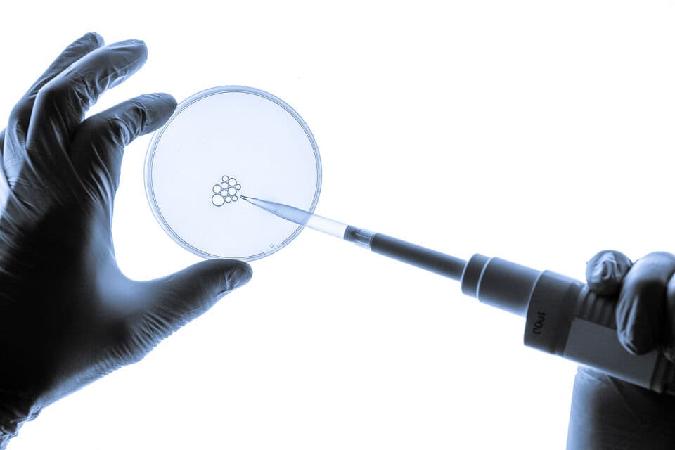 HEARTLAND FERTILITY CLINIC gallery image 4