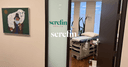 Serefin Health logo