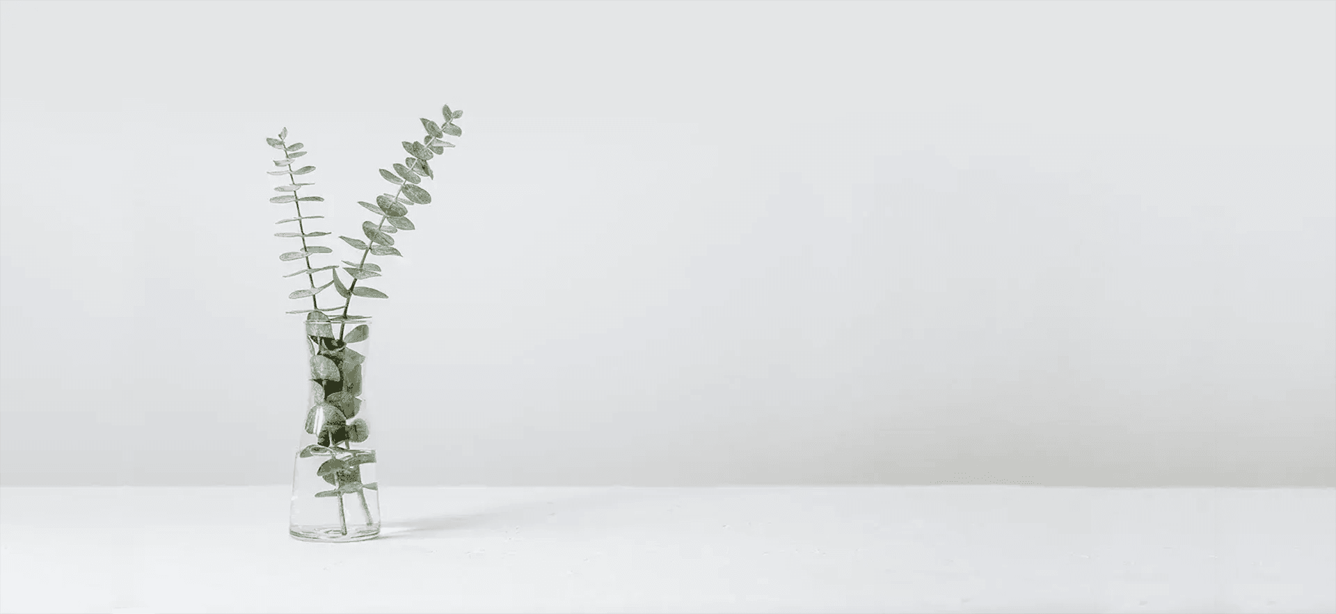 Medaca Health Group gallery image 2