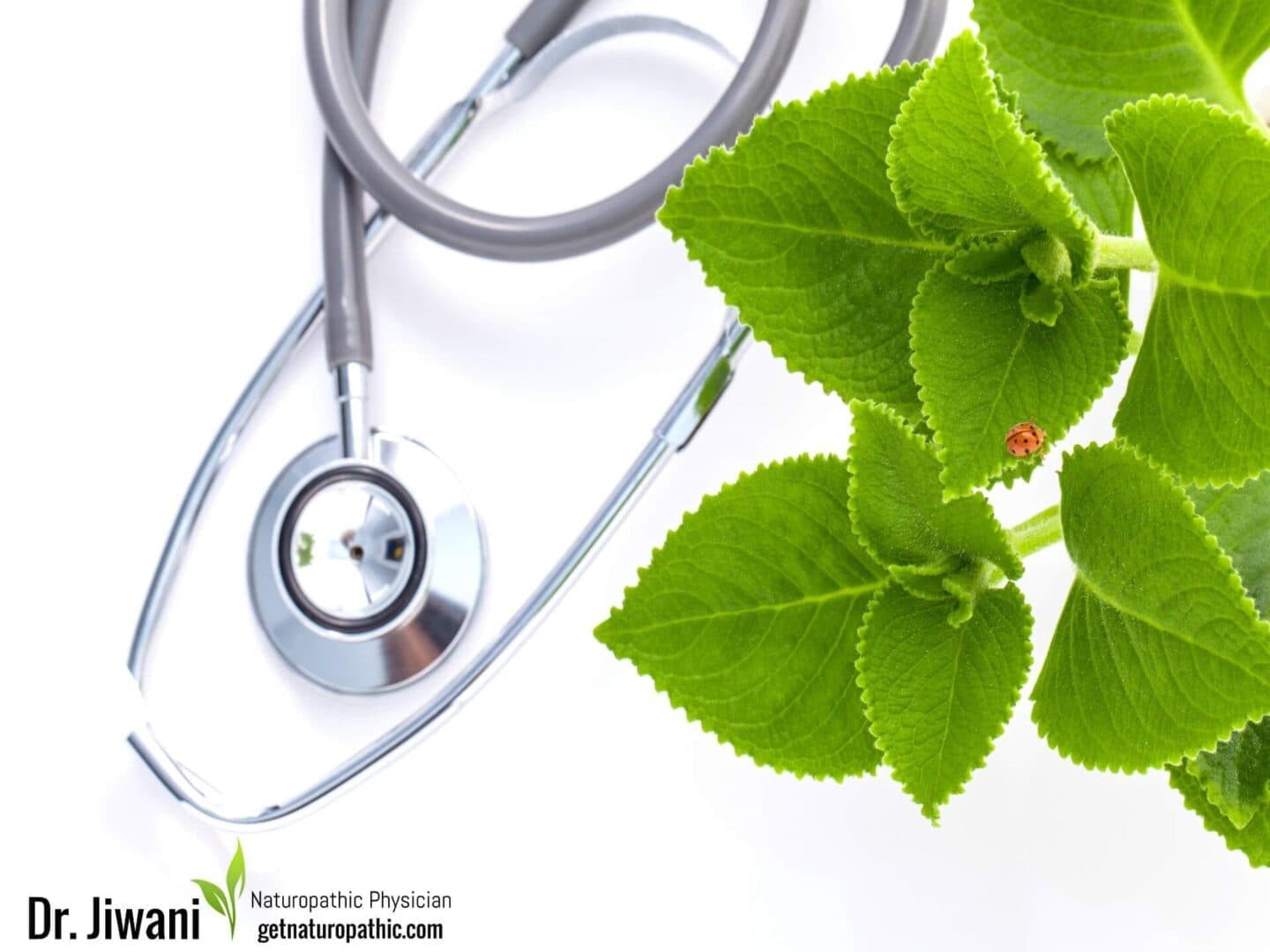 Dr. Jiwani, Naturopathic Physician Surrey