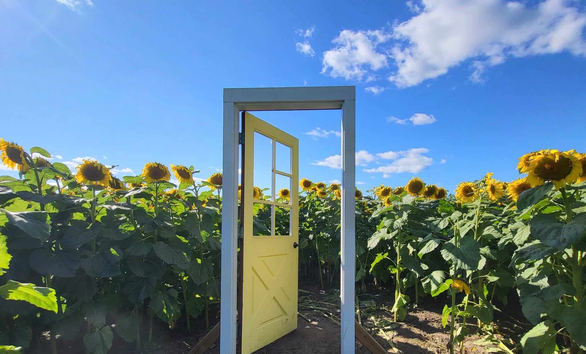 Holistic Health Professional gallery image 1