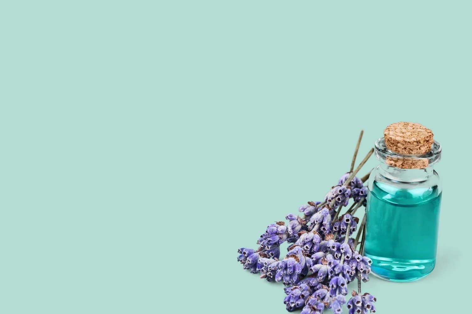 Dr. Tara Lantz, ND Naturopathic Doctor gallery image 5