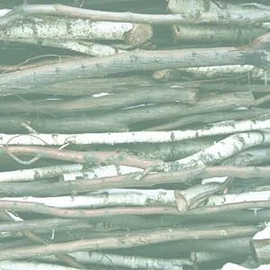 be loved nutrition gallery image 4