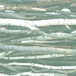 be loved nutrition gallery image 2