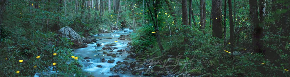 Firefly Counselling and Consulting - Sherwood Park gallery image 2