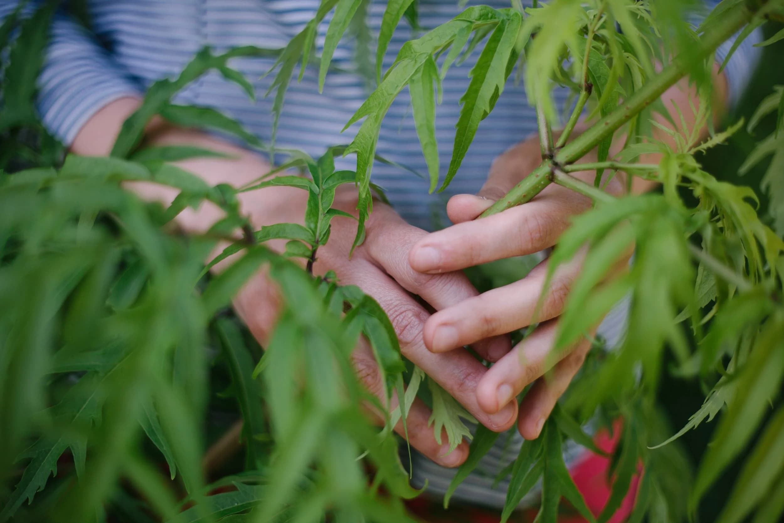Marie-France Trudelle Naturopathe agréée & massothérapeute gallery image 3