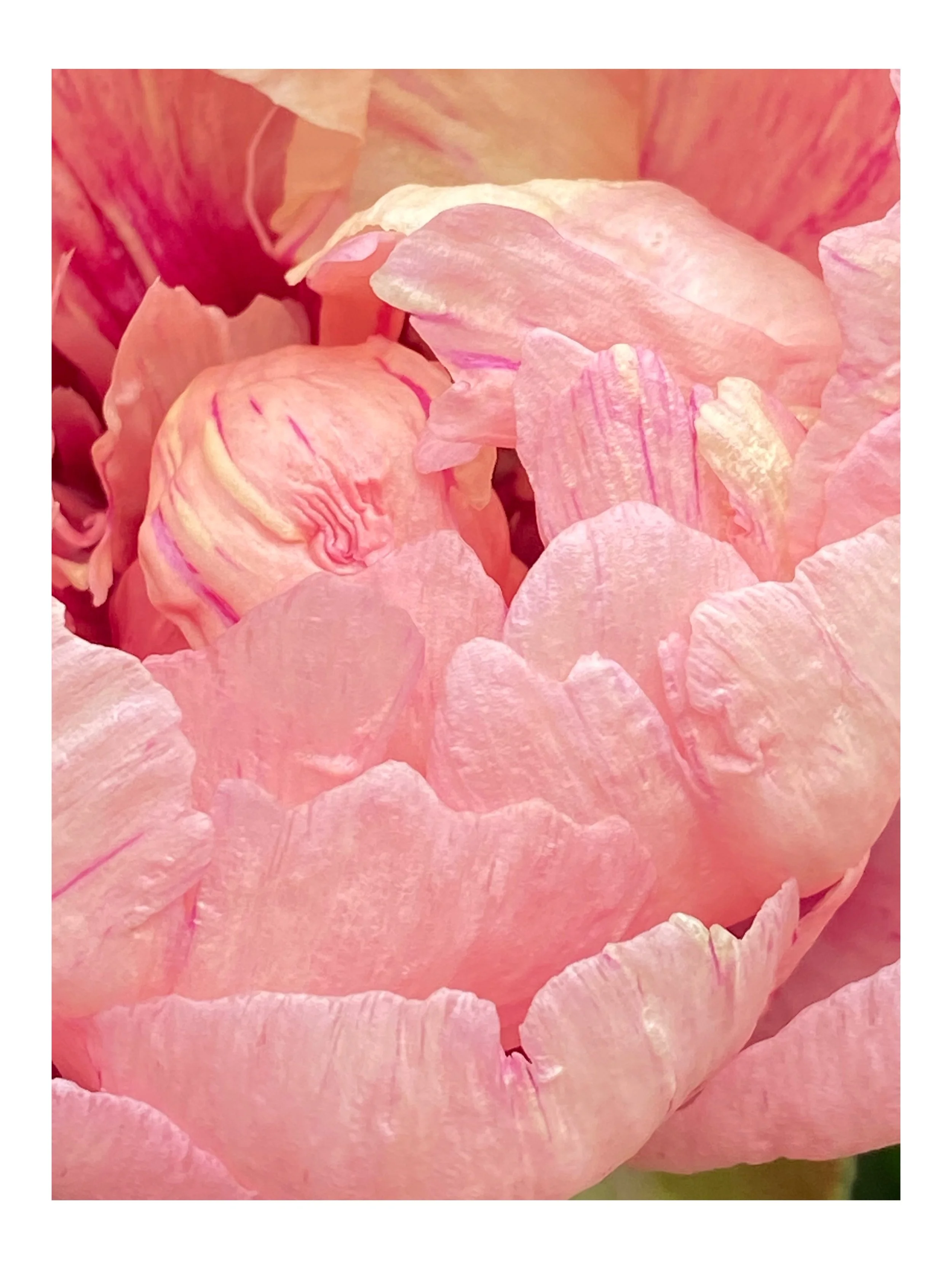 Jen Owens Yoga & Biodynamic Craniosacral Therapy gallery image 5