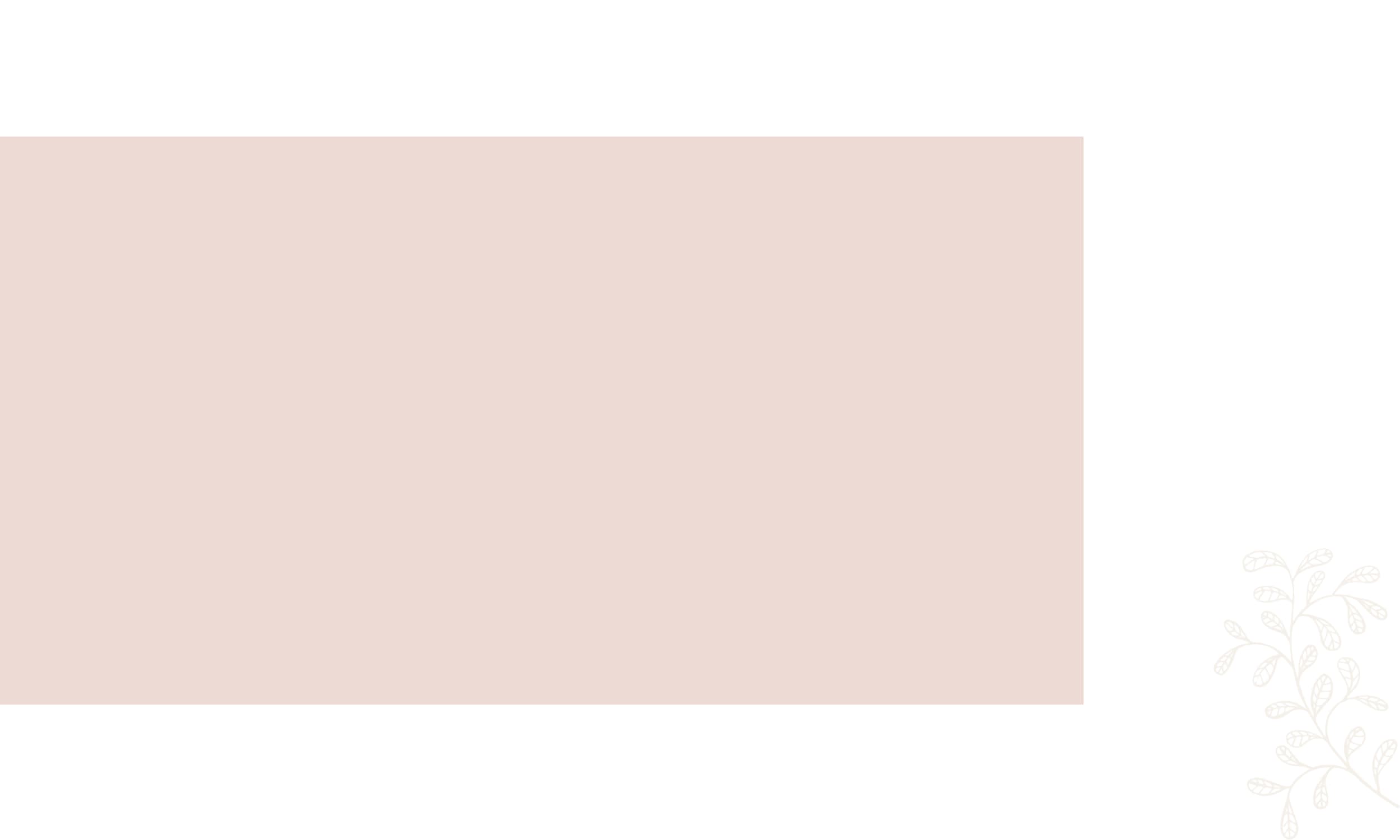 Dr. Janine Buisman Wilcox, Naturopathic Doctor gallery image 3