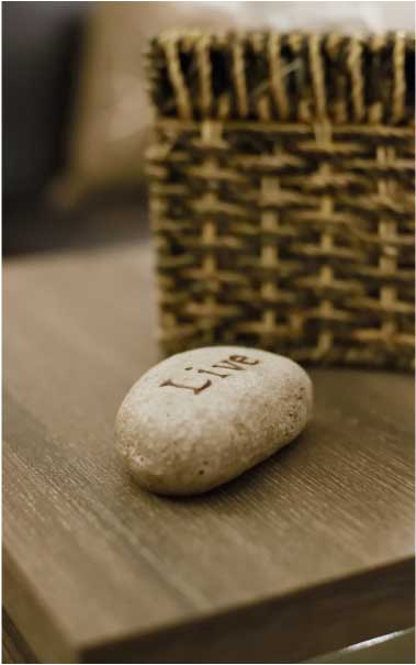 Evolution Psychology gallery image 4