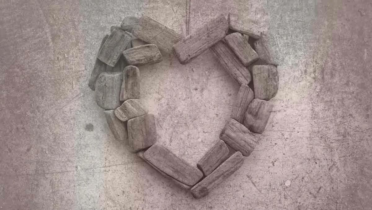 Evolution Psychology gallery image 2