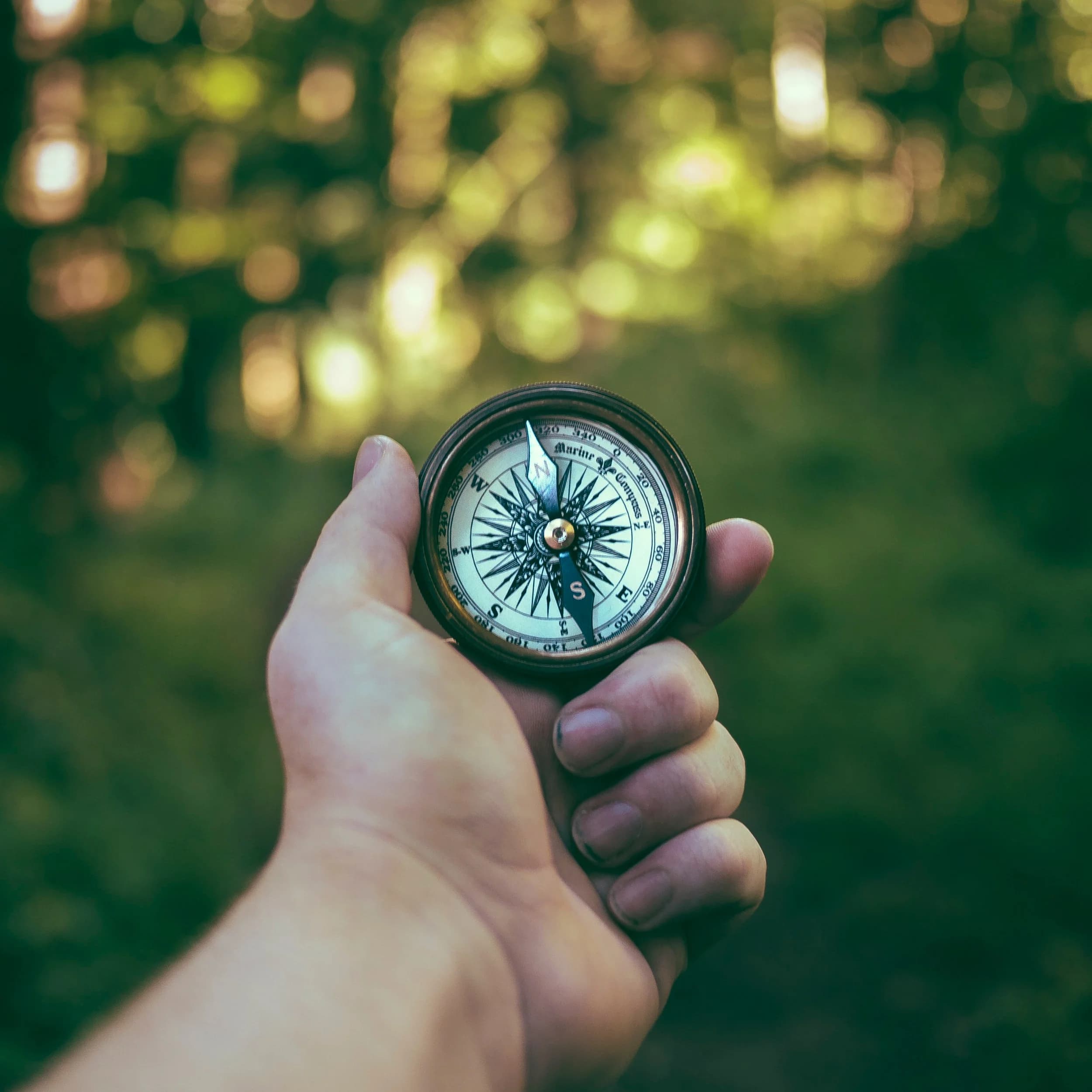 The Compass Rose Health and Wellness Centre gallery image 4