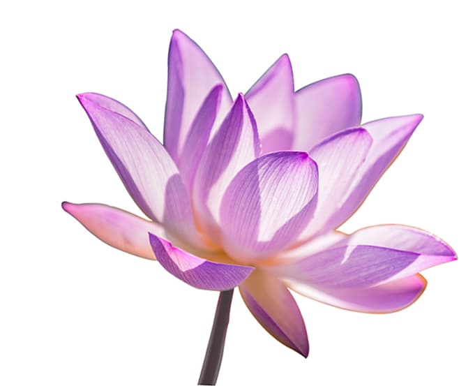 Yoga Therapy Ottawa gallery image 2