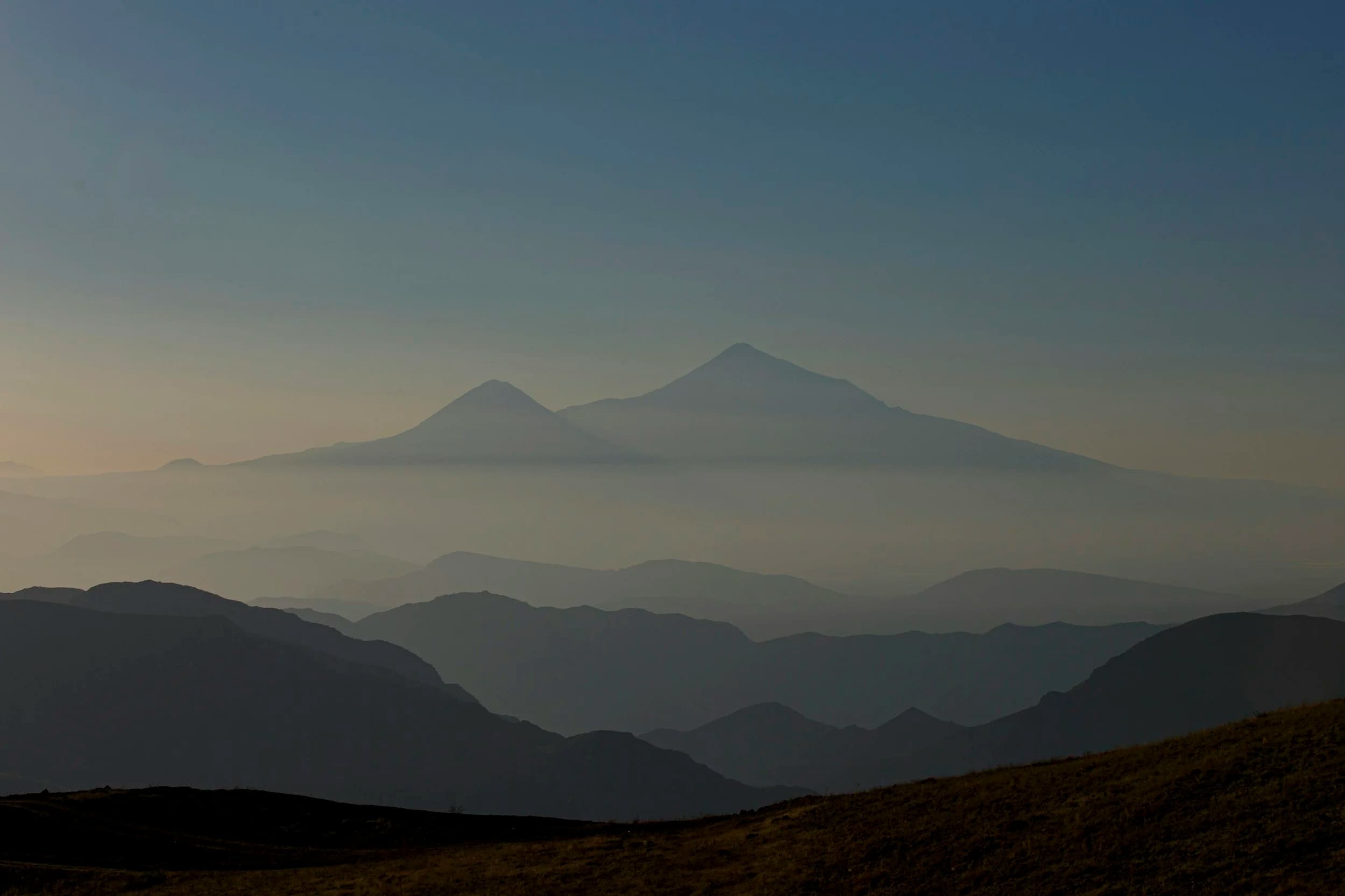 Olive Tree Healing Hypnosis gallery image 3