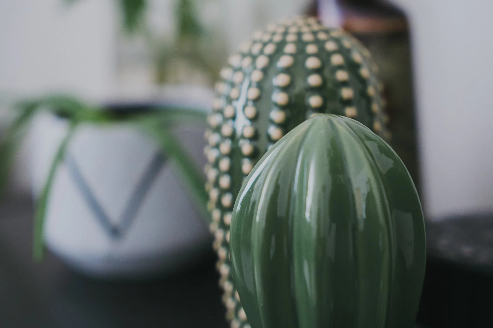 Olive Tree Healing Hypnosis gallery image 2