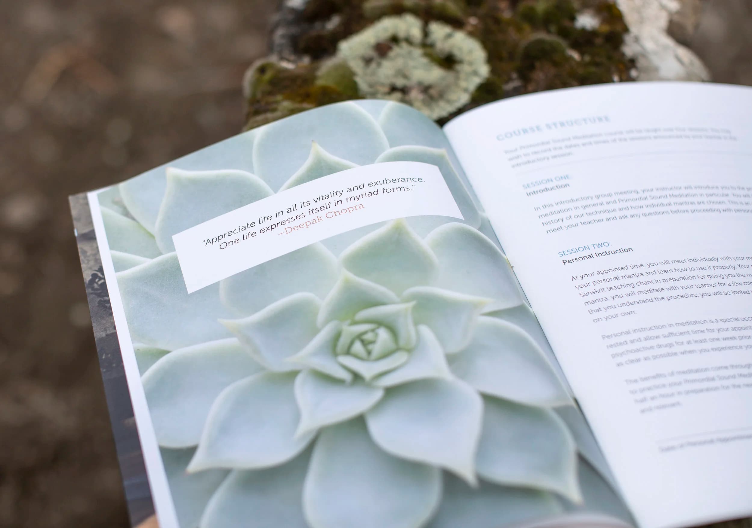 Meditation As Medicine gallery image 4