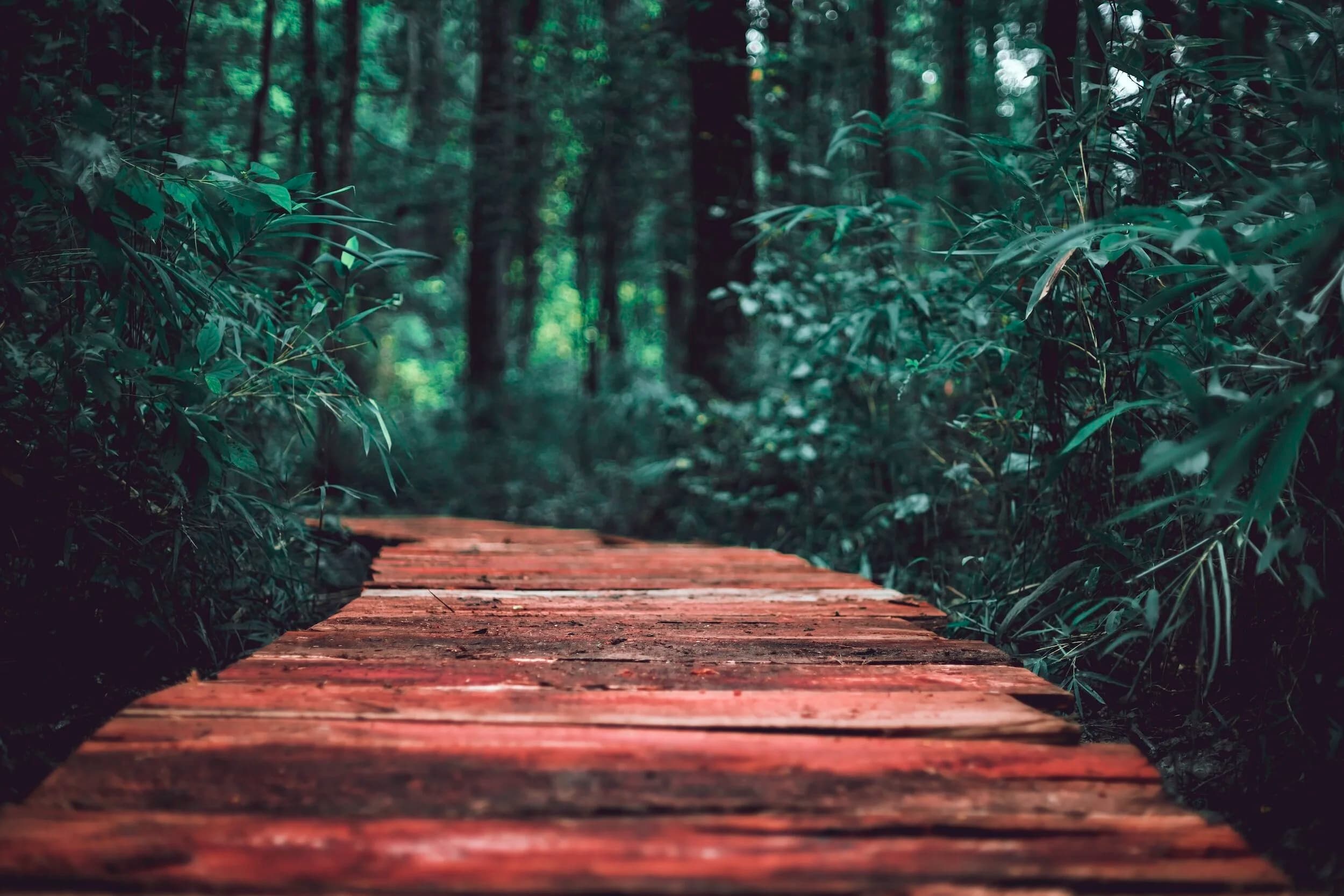 Dr. Paul Given gallery image 2